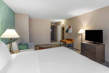 Standard Room, 1 King Bed with Sofa bed, Non Smoking