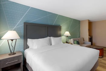 Standard Room, 1 King Bed with Sofa bed, Non Smoking