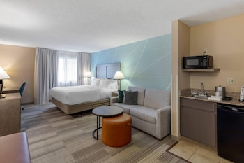Standard Room, 1 King Bed with Sofa bed, Non Smoking