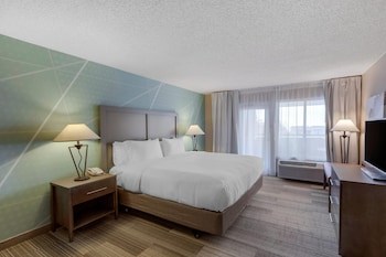 Standard Room, 1 King Bed with Sofa bed, Non Smoking