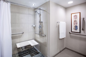 Premium Room, 1 King Bed, Accessible (Mobility, Roll-in Shower)