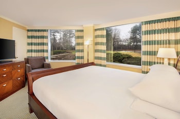 Suite, 1 King Bed