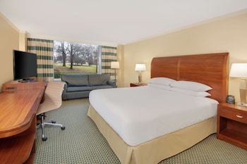 Room, 1 King Bed with Sofa bed