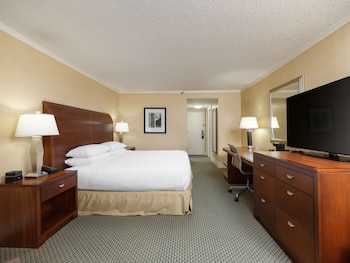Room, 1 King Bed, Accessible, Allergy Friendly (Mobility & Hearing, Roll-in Shower)