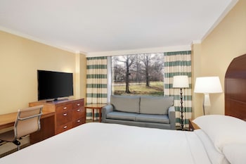 Room, 1 King Bed with Sofa bed