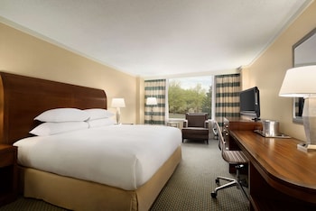 Room, 1 King Bed, Accessible, Allergy Friendly (Mobility & Hearing, Roll-in Shower)