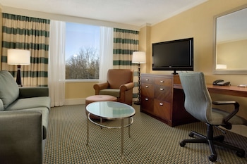 Suite, 1 King Bed
