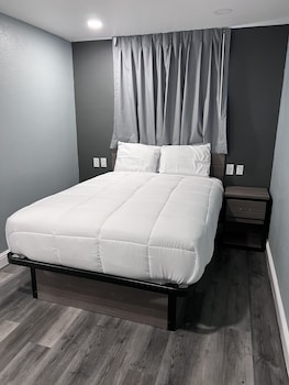 Premium Suite