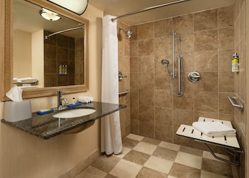 Standard Room, 1 Double Bed, Accessible (Mobility, Roll-In Shower)
