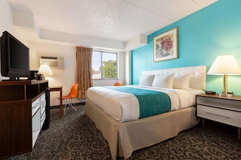 Standard Room, 1 King Bed
