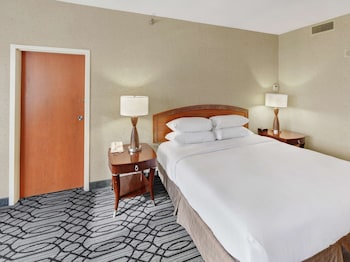 Suite, 1 King Bed (Capital)