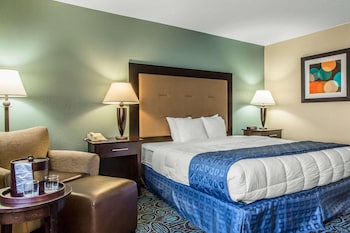 Superior Single Room, 1 King Bed, City View
