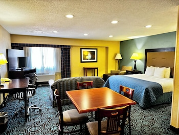 Executive Single Room, 1 King Bed, City View