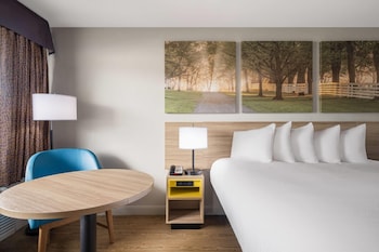 Room, 1 King Bed, Accessible, Smoking