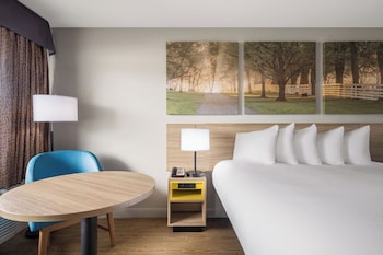Studio Suite, 1 King Bed, Non Smoking