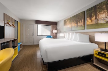 Room, 1 King Bed, Accessible, Smoking