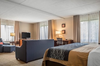 Suite, 1 King Bed with Sofa bed, Accessible, Non Smoking (Upgrade)