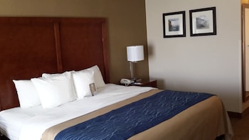 Standard Room, 1 King Bed, Non Smoking