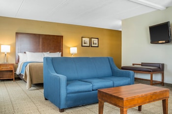 Suite, 1 King Bed with Sofa bed, Accessible, Non Smoking (Upgrade)