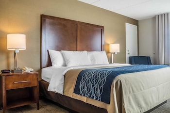 Standard Room, 1 King Bed, Non Smoking