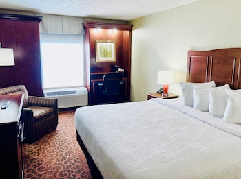 Room, 1 King Bed, Non Smoking, Refrigerator & Microwave