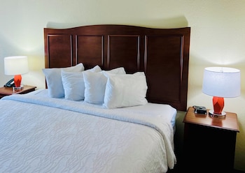 Room, 1 King Bed, Non Smoking, Refrigerator & Microwave