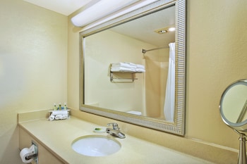 Standard Room, 1 King Bed with Sofa bed