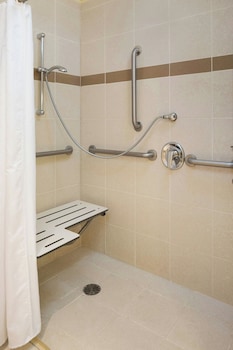 Room, 1 King Bed (Mobility/Hearing Access, Roll-In Shwr)