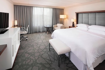 Room, 1 King Bed (Mobility/Hearing Access, Roll-In Shwr)