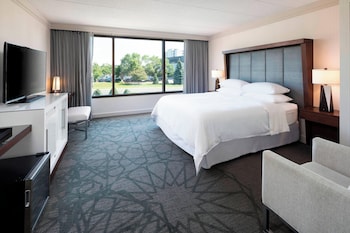 Room, 1 King Bed (Mobility/Hearing Access, Roll-In Shwr)
