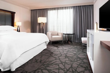 Club Room, 1 King Bed