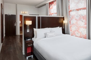 Suite, 1 King Bed with Sofa bed