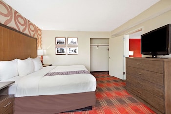 Suite, 1 Bedroom, Non Smoking