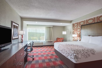 Room, 1 King Bed, Accessible, Non Smoking (Roll-In Shower)