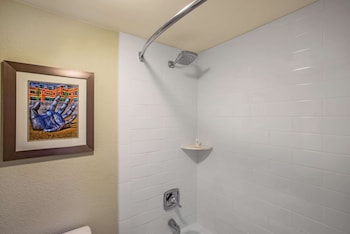 Room, 1 King Bed, Accessible, Non Smoking (Roll-In Shower)