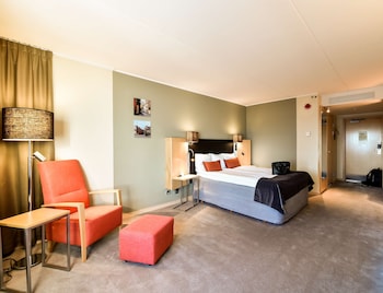 Room, 1 King Bed