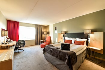 Room, 1 King Bed