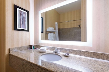 Studio Suite, Multiple Beds, Non Smoking