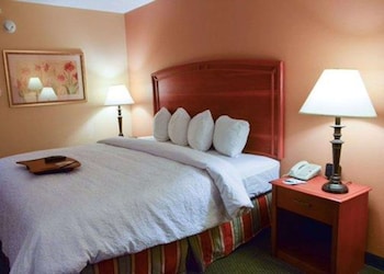Room, 1 Queen Bed, Accessible, Non Smoking