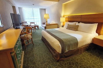 Club Room, 1 King Bed with Sofa bed