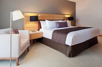Room, 1 King Bed, City View