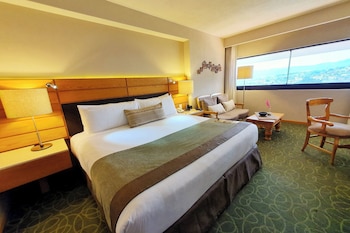 Room, 1 King Bed