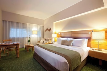 Room, 1 King Bed
