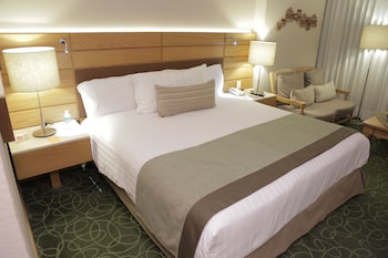 Room, 1 King Bed