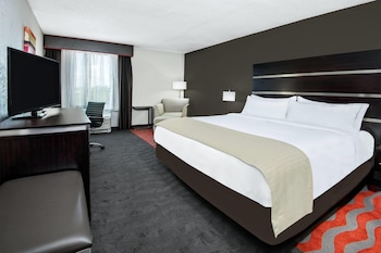 Room, 1 King Bed, Mobility Accessible, Non Smoking (Bathtub w/Grab Bars)