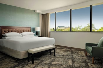 Executive Suite, 1 King Bed
