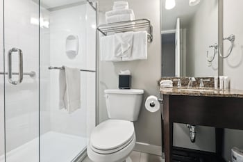 Room, 1 Queen Bed (Petite)