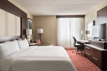 Room, 1 King Bed