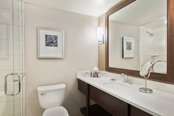 Room, 1 King Bed (Mobility Accessible, Roll-in Shower)