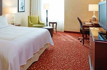 Room, 1 King Bed